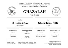 rodokmen Ghazalah