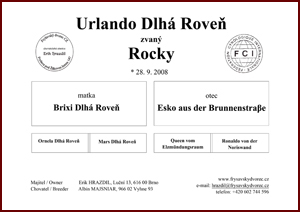 pedigree Rocky